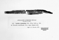 Image Associated With the Occurence